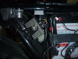 1¹æµ¡2011ǯ»ÅÍͤÇÉü³è (5)