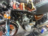 HCB550FOHʬ (1)