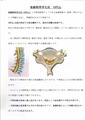 OPLL後縦靭帯骨化症治療方法 (1)