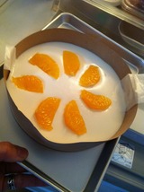 �Ǥμ��������������