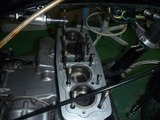 1¹æµ¡2011ǯ»ÅÍͤÇÉü³è