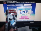 70本目ぐらい