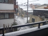 2017ǯºÇ¶¯´¨ÇÈÅþÍè (2)