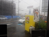 210809¥²¥ê¥é¹ë±«