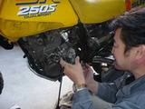 DR250SFCR¥»¥Ã¥Æ¥£¥ó¥°