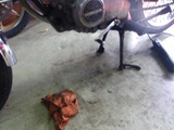 ���N��CB90 K2JX���������л���Ĵ��260605 (4)