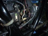 1¹æµ¡2011ǯ»ÅÍͤÇÉü³è (7)