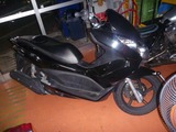 PCX�۵�����