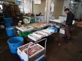 鮮魚市場 (1)