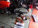 ���N��CJ250T�ꥢ������260528 (3)
