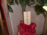 ¥¢¥á¥ê¥«¥ó¥É¥ê¡¼¥à¿·¼Ò²°¥×¥ì¥ª¡¼¥×¥ó¥»¥ì¥â¥Ë¡¼ (47)