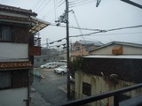 今日も雪