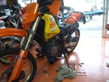 DR250S¥¨¥ó¥¸¥ó¸ò´¹ (4)