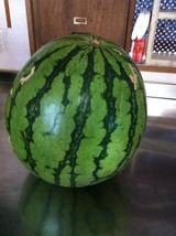 ����������礫���£��ʪ