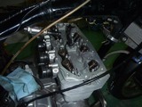 1¹æµ¡2011ǯ»ÅÍͤÇÉü³è (1)