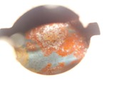 ���N�ͼ�������ͽ���ξCB90��ξ�����å�260516 (2)