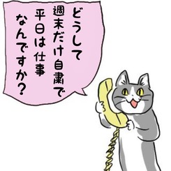 1613295306016