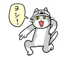 現場 猫 素材