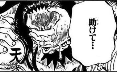 ワンピース ワンピの可愛いキャラランキング今更新されたわ 984話 ふたまと