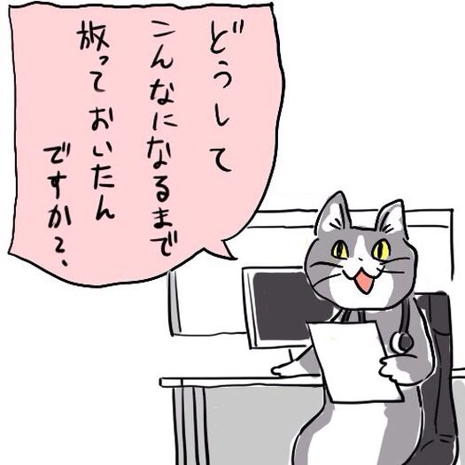 現場猫 業務終了ヨシ ゴホッゴホッ ふたまと 現場猫 業務終了ヨシ ゴホッゴホッ ふたまと