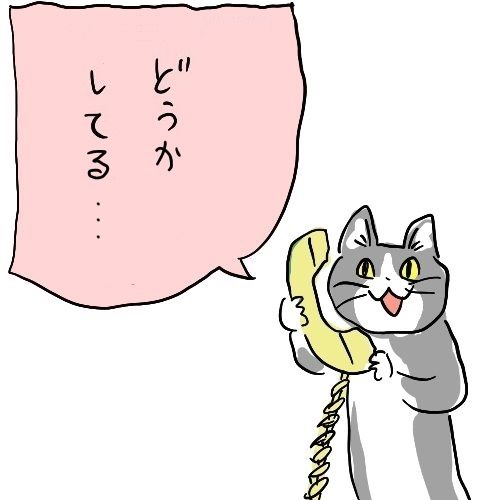 現場猫 どうして機体がこれなんですか ボール ふたまと 現場猫 どうして機体がこれなんですか ボール ふたまと