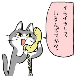 1613299215687