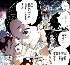 鬼滅の刃 悪い顔も美しいです珠世さま ふたまと 鬼滅の刃 悪い顔も美しいです珠世さま ふたまと