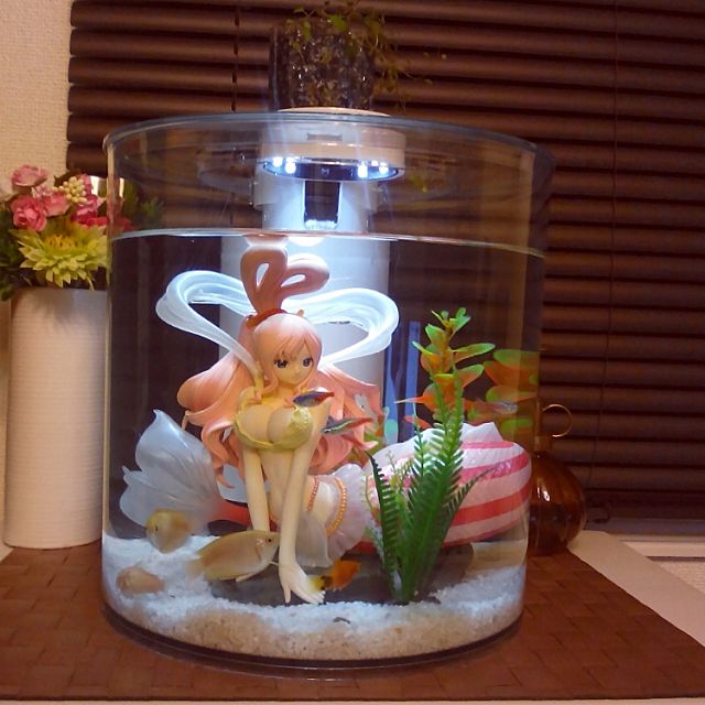 水中ジオラマ しゅごい ふたまと