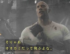 1593336184082