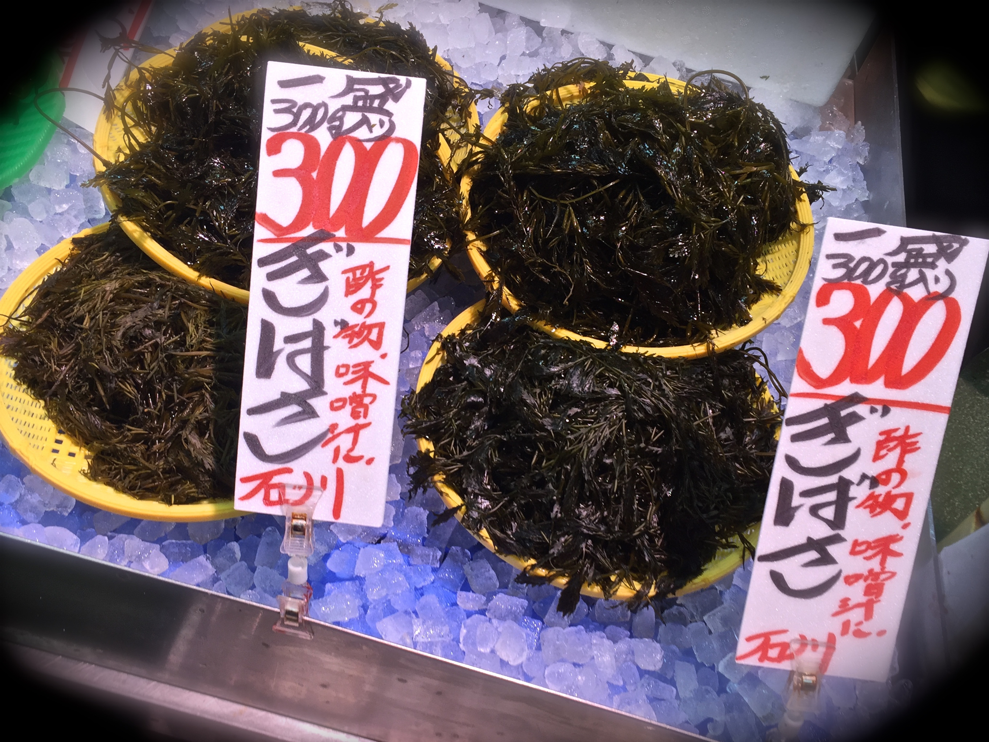初めて買ってみた ぎばさ を使った料理 Pekohara Log ぺこはらログ