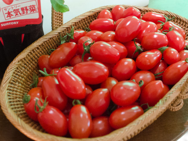 ブロガーイベント サントリー本気野菜 食べてみたい を育てよう トマトの世界 In 六本木農園 Pekohara Log ぺこはらログ ブロガーイベント サントリー本気野菜 食べてみたい を育てよう トマトの世界 In 六本木農園 Pekohara Log ぺこはらログ