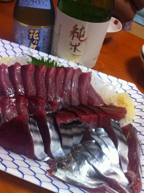 浜松 舞阪漁港で獲れたての もちかつお ぺこはら日記
