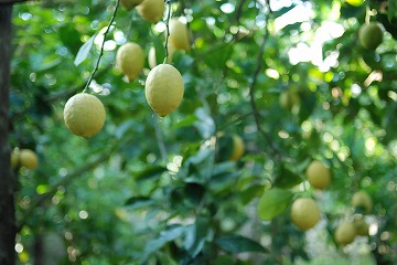 687eaac0.jpg