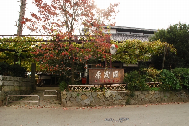 5890ef4e.jpg