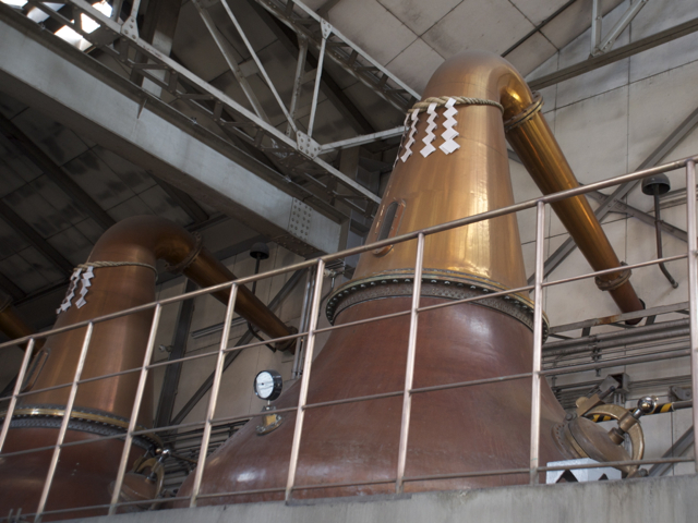 c79717b5.jpg