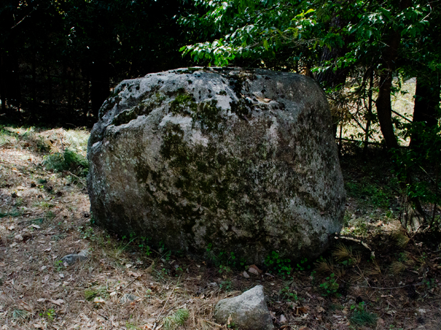 28e98565.jpg