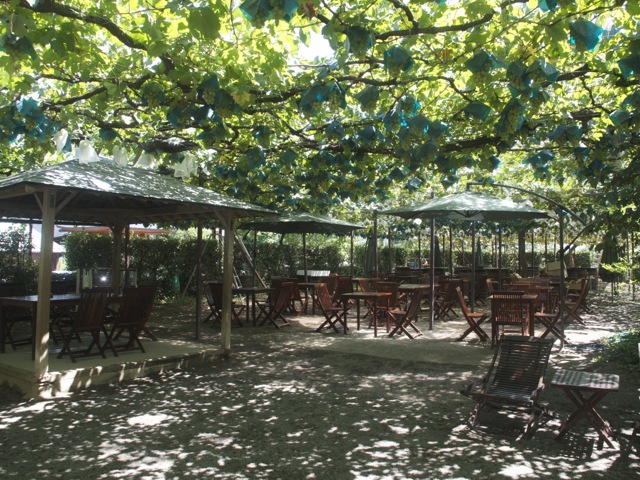 040204e3.jpg