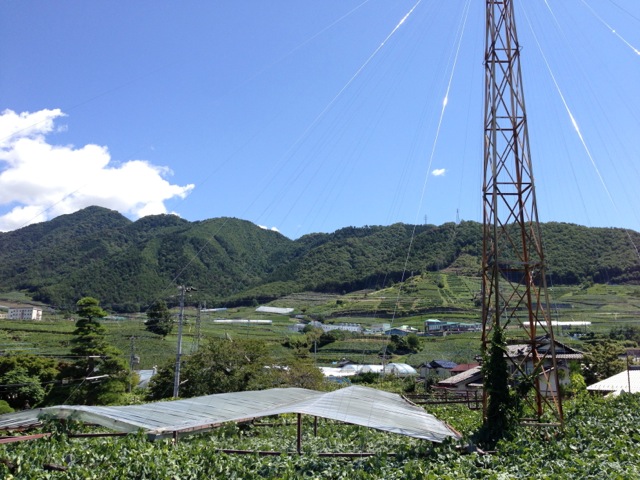 1b2de874.jpg