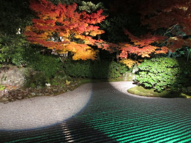 autumn-leaves-2012-entokuin-1