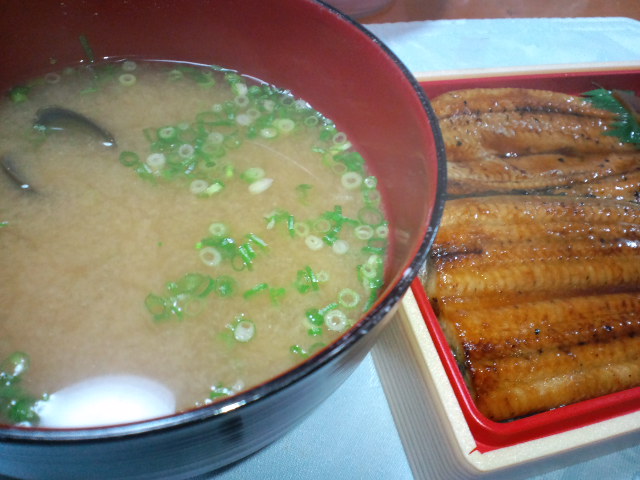 unagi-2010-0726-8