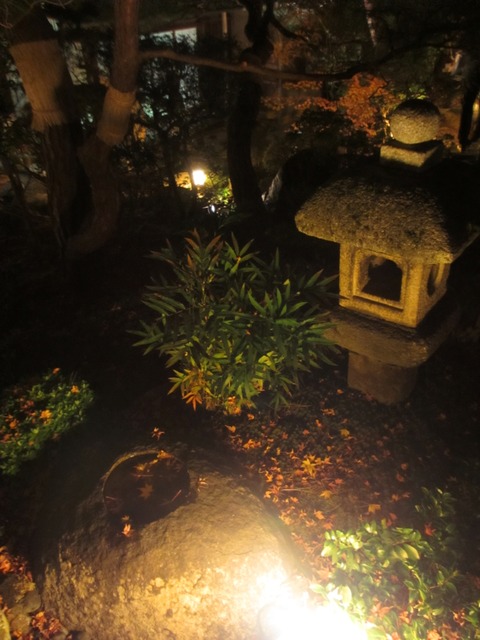 autumn-leaves-2012-chionin-9