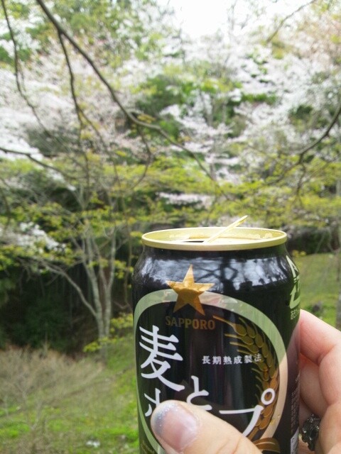 cherry-blossom-nara-yoshino-2012-6