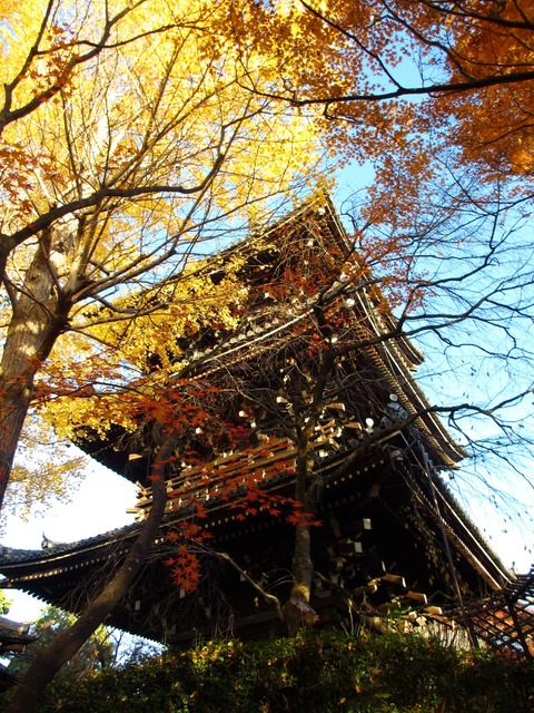 autumn-leaves-2012-shinnyodo-11