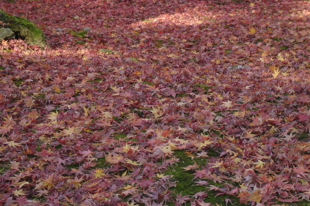 autumn-leaves-2012-nanzenji-14