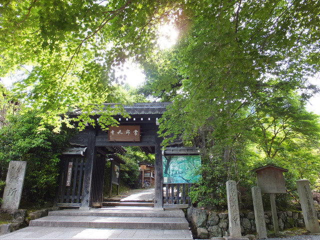 DSCF1803