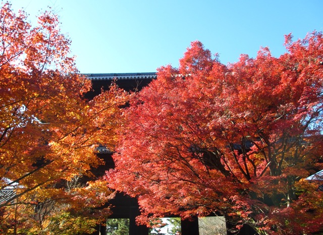 autumn-leaves-2012-nanzenji-11