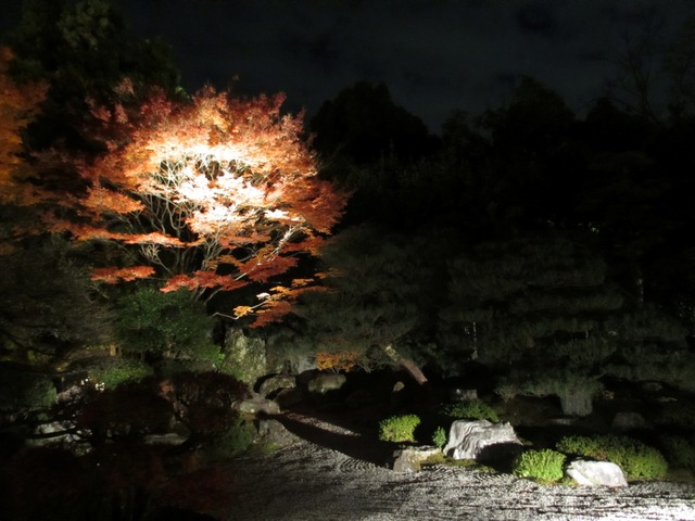 autumn-leaves-2012-chionin-14