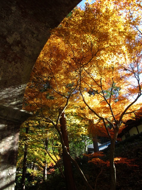 autumn-leaves-2012-nanzenji-19