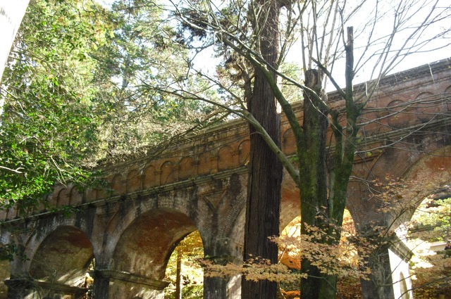 autumn-leaves-2012-nanzenji-16