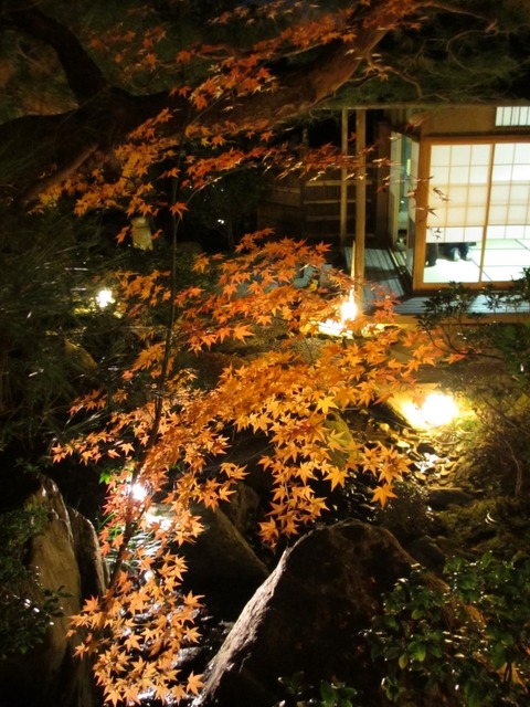 autumn-leaves-2012-chionin-10